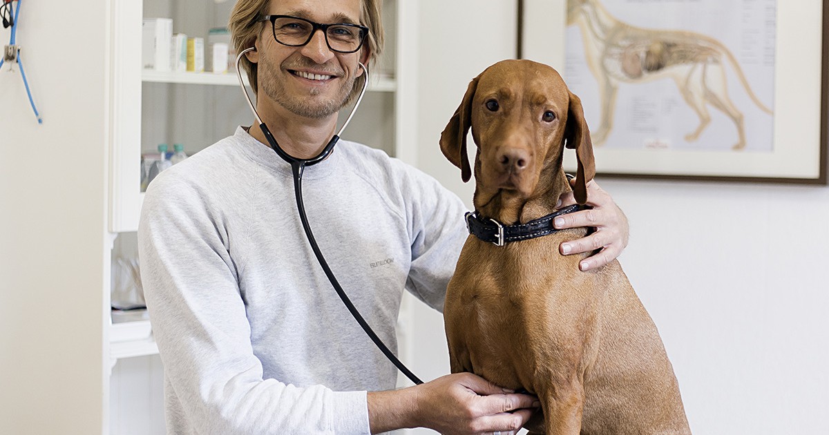 Tierarztpraxis Dr. Christine Und Peter Storck Tierarztpraxis Dr. Peter Vogel